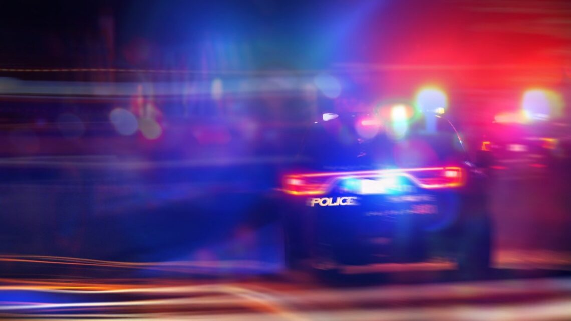 4 camions Ford F-150 volés ont mené la police sur plusieurs poursuites dans le Michigan