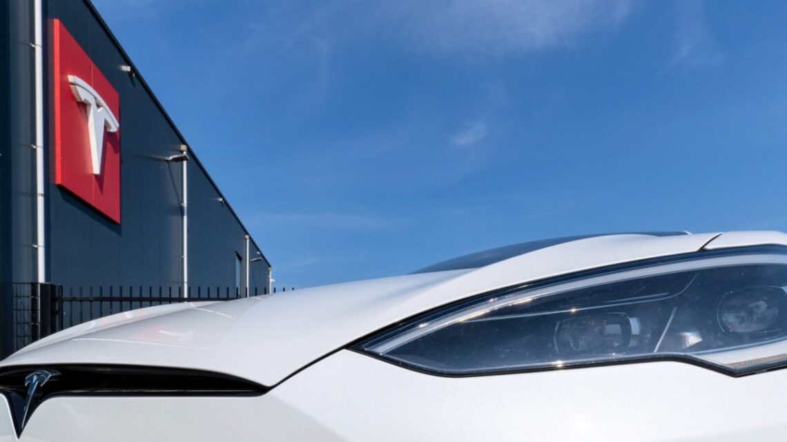 Les propriétaires de Seattle Tesla ont honte de leurs manèges – «J'ai acheté ceci avant qu'il ne soit un bizarre fasciste»